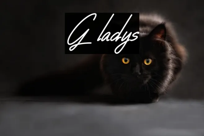 Gladys Example 1