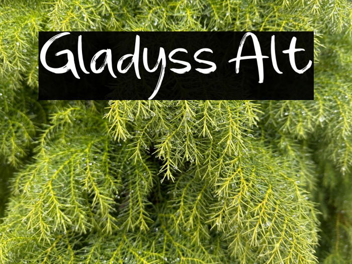 Gladyss Alt Example 3