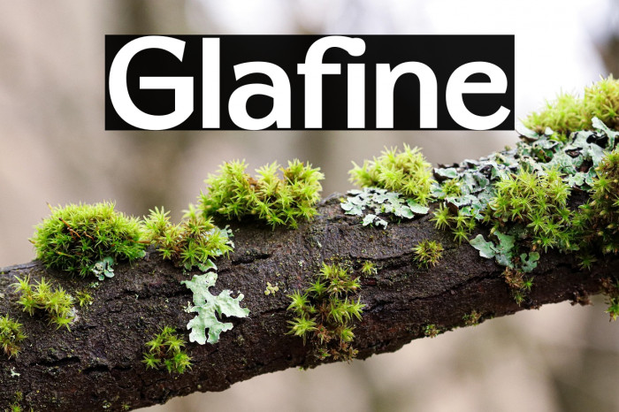Glafine Example 3
