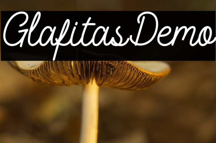 Glafitas-Demo Example 1