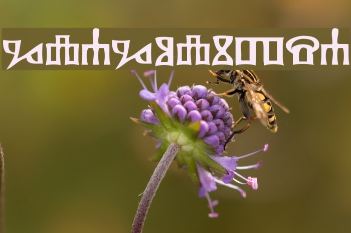 Glagolitsa Example 3