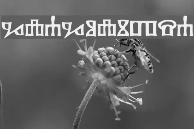 Glagolitsa Font examples