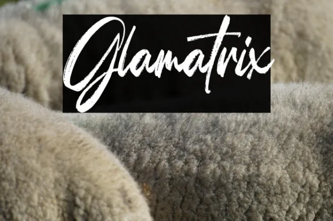 Glamatrix Example 2
