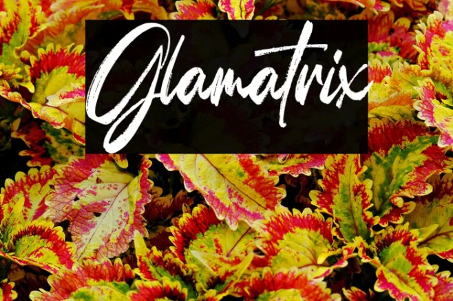 Glamatrix Example 3