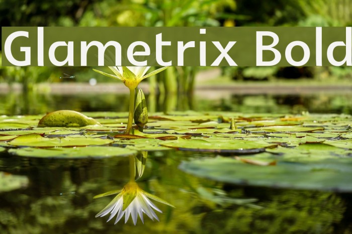 Glametrix Bold Font examples