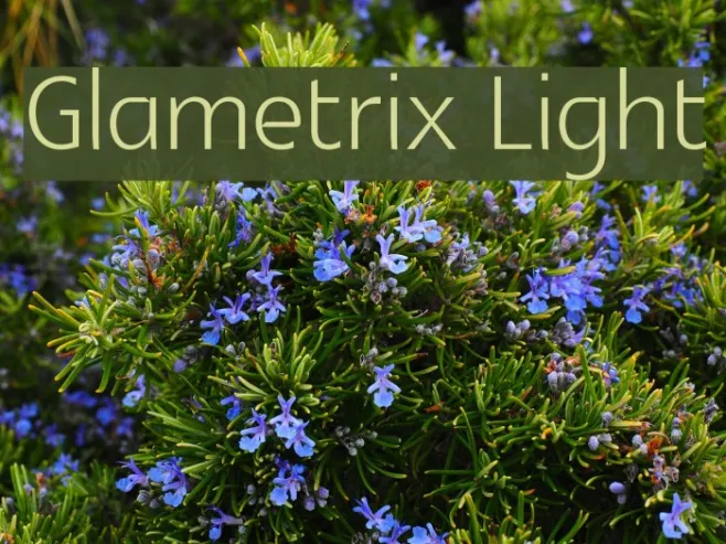 Glametrix Light Example 1