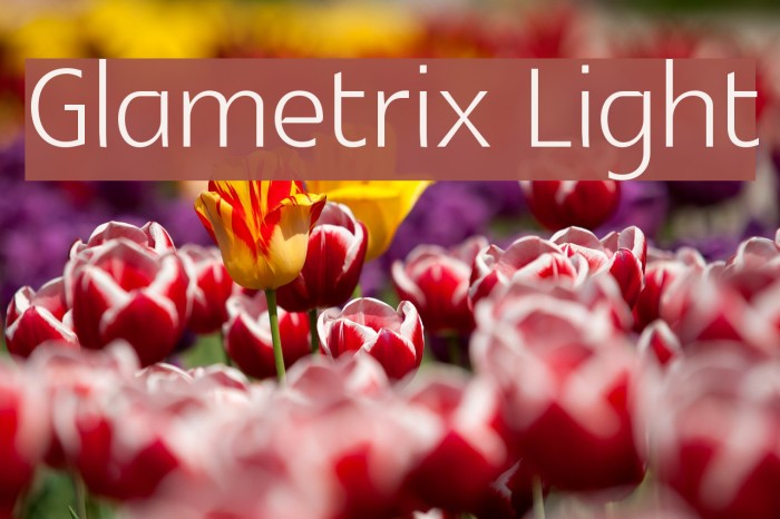 Glametrix Light Font examples