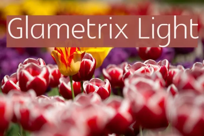 Glametrix Light Example 3