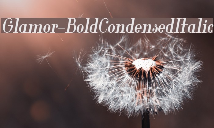 Glamor-BoldCondensedItalic Font examples