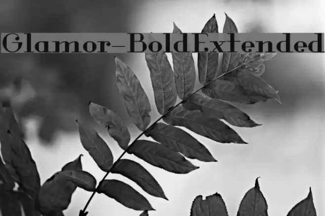 Glamor-BoldExtended Font examples