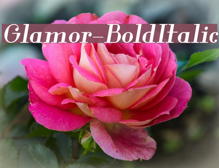 Glamor-BoldItalic Example 1