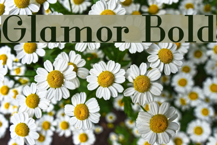 Glamor Bold Font examples
