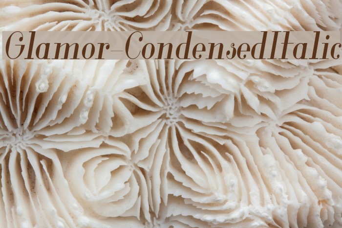 Glamor-CondensedItalic Example 3