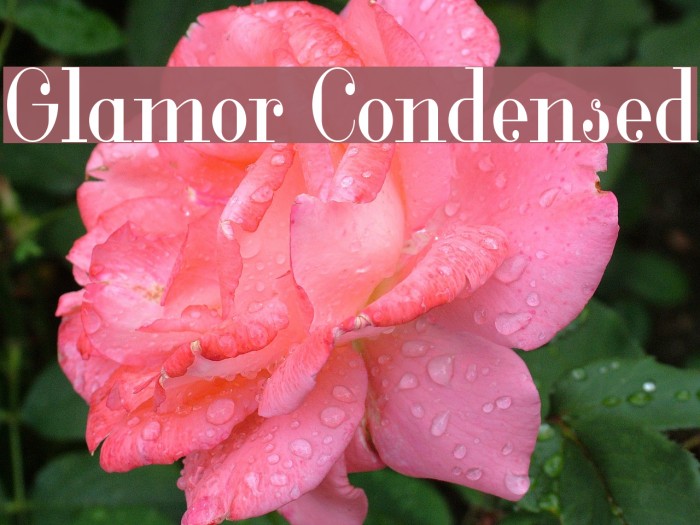 Glamor Condensed Example 1