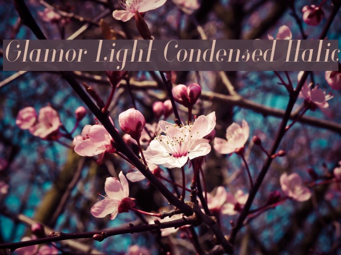 Glamor Light Condensed Italic Font examples