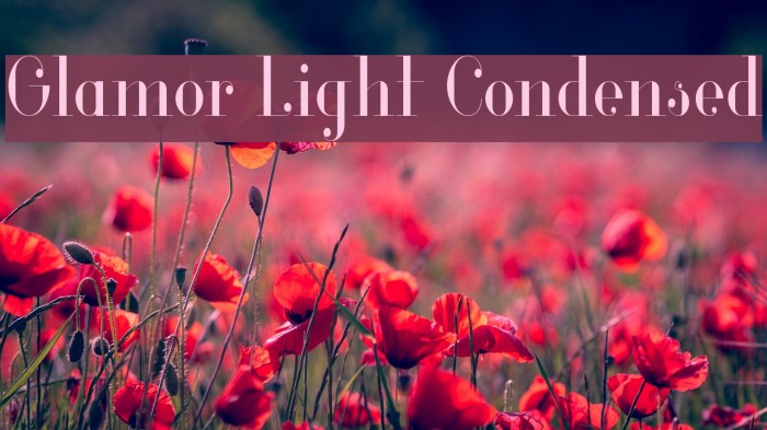 Glamor Light Condensed Font examples