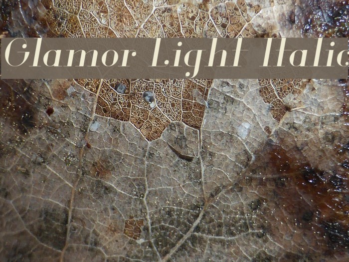 Glamor Light Italic Example 1