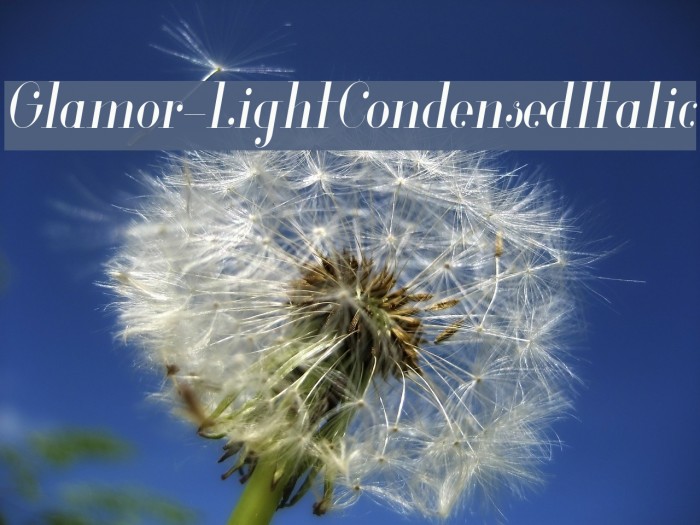 Glamor-LightCondensedItalic Font examples