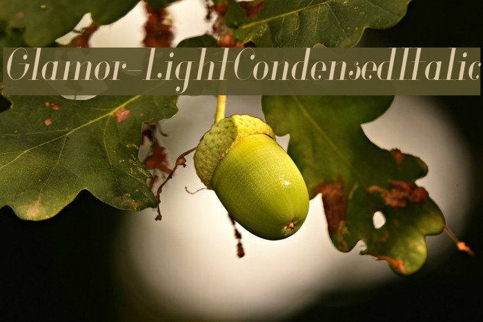 Glamor-LightCondensedItalic Font examples