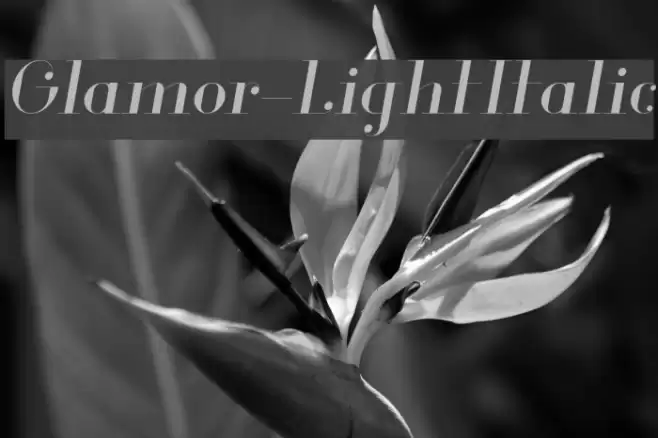 Glamor-LightItalic Font examples