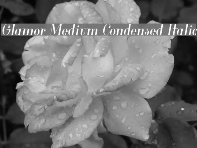 Glamor Medium Condensed Italic Font examples
