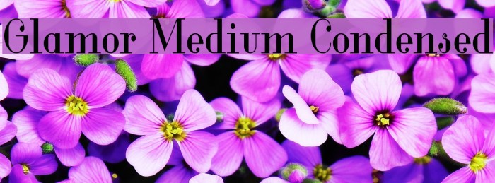 Glamor Medium Condensed Font examples