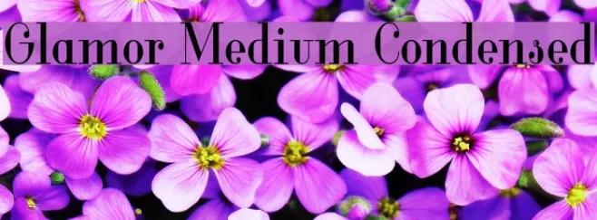 Glamor Medium Condensed Example 1