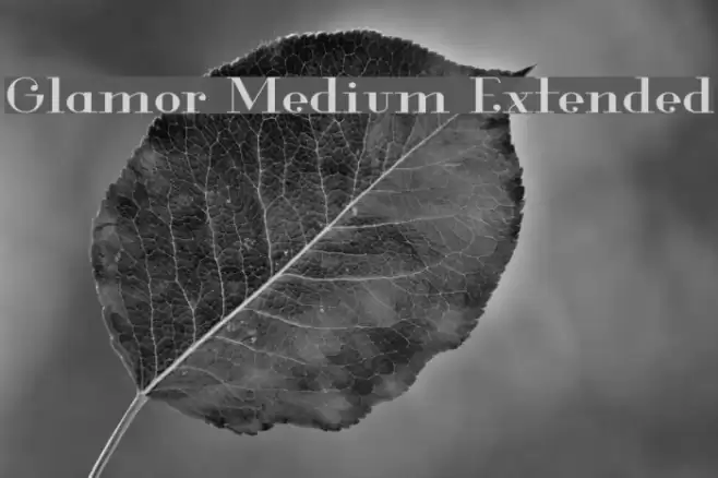 Glamor Medium Extended Font examples