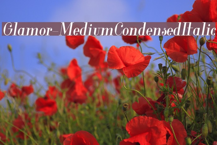 Glamor-MediumCondensedItalic Font examples
