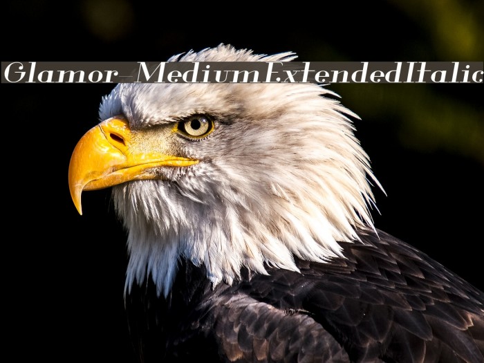 Glamor-MediumExtendedItalic Example 2