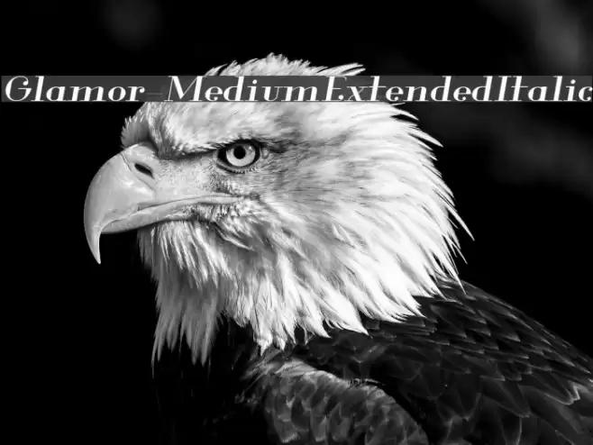Glamor-MediumExtendedItalic Font examples