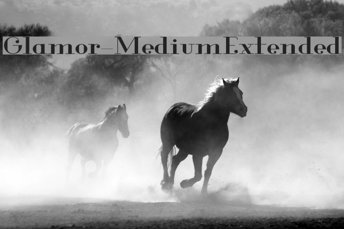 Glamor-MediumExtended Font examples