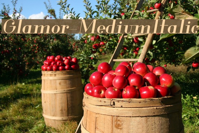 Glamor-MediumItalic Fuentes examples
