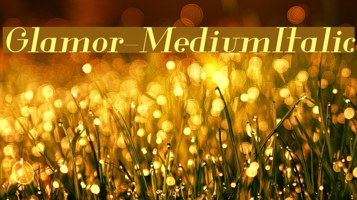 Glamor-MediumItalic Fuentes examples