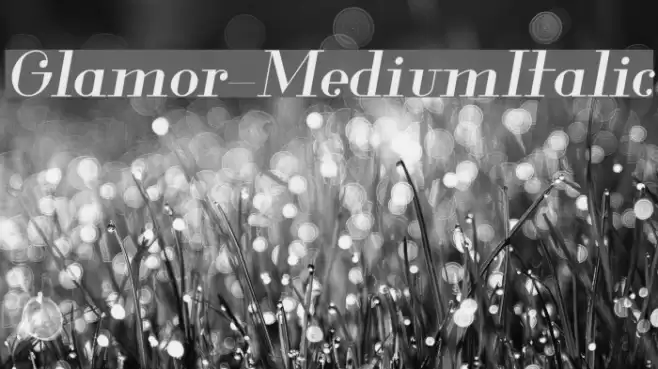 Glamor-MediumItalic Font examples
