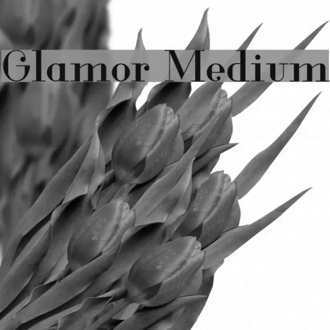 Glamor Medium Font examples