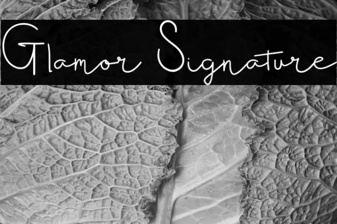 Glamor Signature Font examples