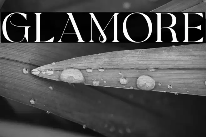 Glamore Font examples