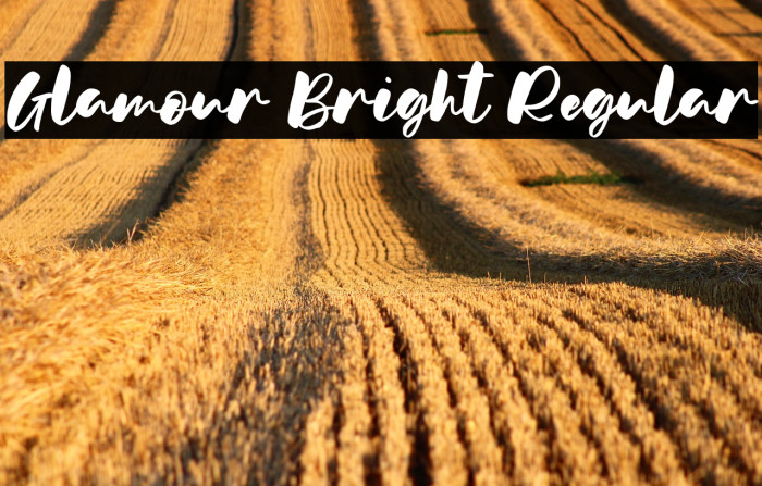 Glamour Bright Regular Example 3