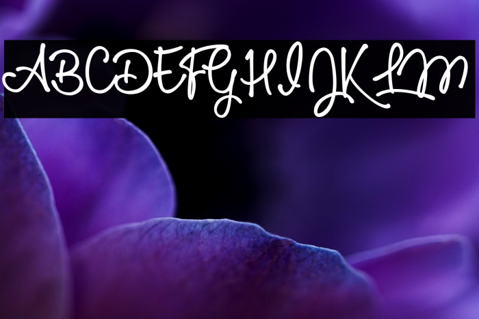 Glamour Girls Personal Use  Example 3