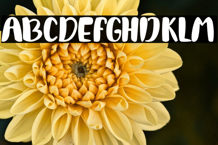 GlamourElephant Example 2