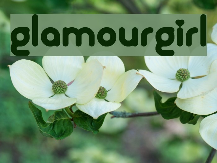 Glamourgirl Font examples