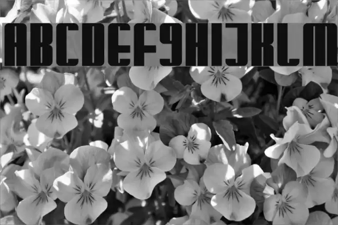 Glaring Font examples