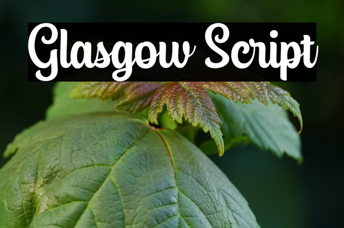 Glasgow Script Example 1
