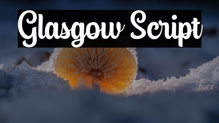 Glasgow Script Example 3