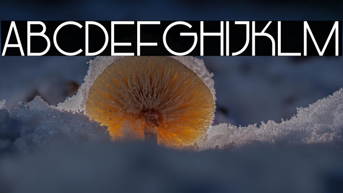 Glasket Medium Example 1