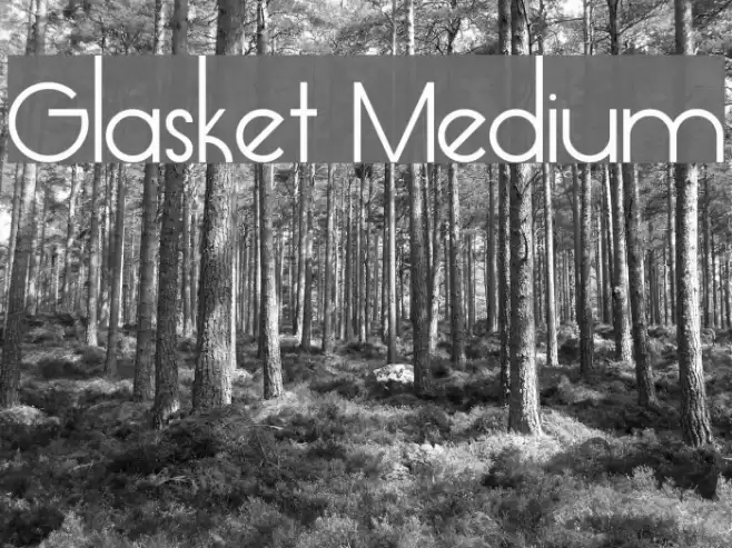 Glasket Medium Font examples