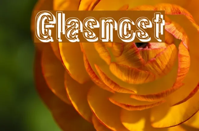 Glasnost Example 2