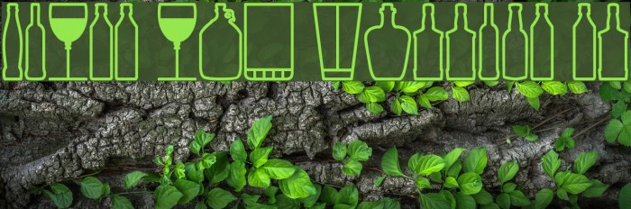 Glass and bottles St Font examples