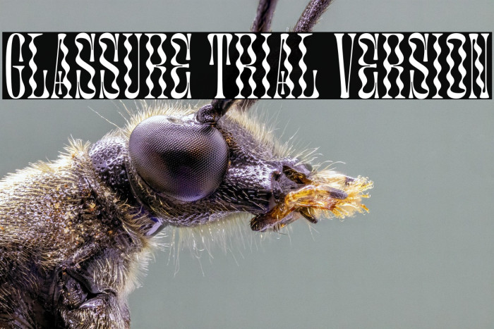 Glassure Trial Version Example 2